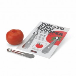 Cuillère Vide Tomates PUJADAS CHR BEST